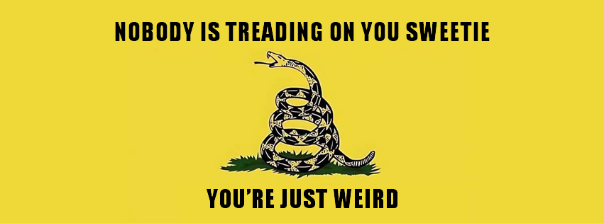 This meme features the "Gadsden flag," a historical American flag with a coiled snake and the phrase "Don't Tread on Me." However, it's been modified to say "Nobody is treading on me" and "You're just weird" instead. The meme is a humorous take on the original flag's message, implying that the speaker is not being threatened or oppressed, but rather is simply being perceived as unusual.